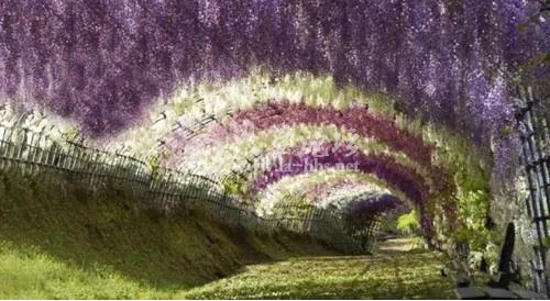 QQ截图20141019114907.png