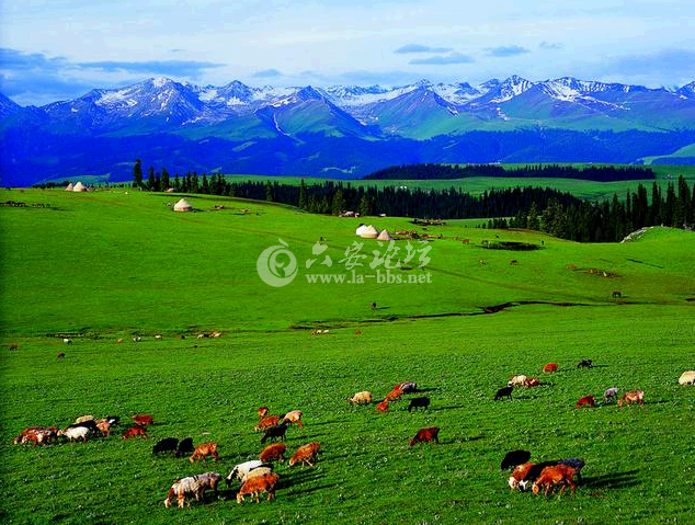 QQ截图20141019115116.png