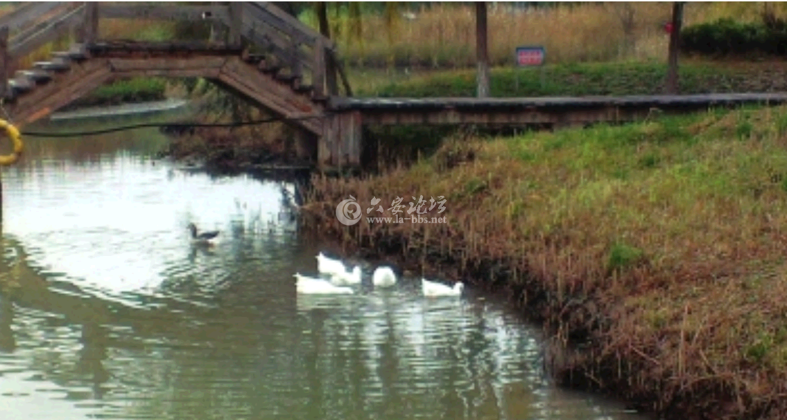 QQ截图20141020110955.png QQ截图20141020110955.png