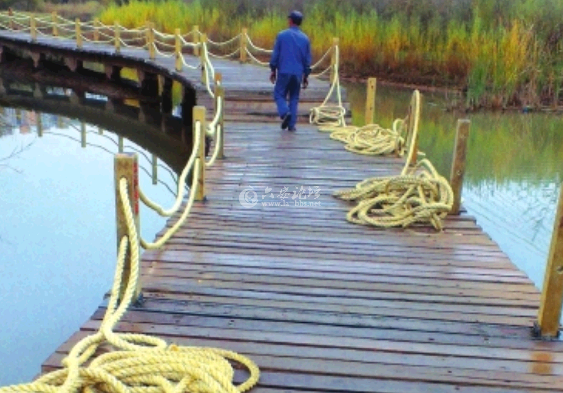 QQ截图20141020111013.png QQ截图20141020111013.png