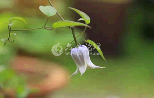 QQ截图20141020111209.png QQ截图20141020111209.png
