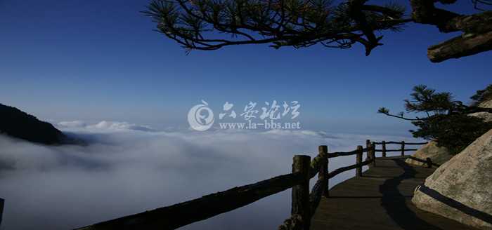 2014030509200812383.jpg