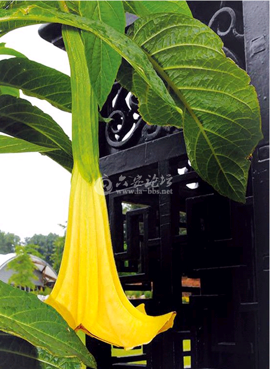 QQ截图20141023112734.png QQ截图20141023112734.png