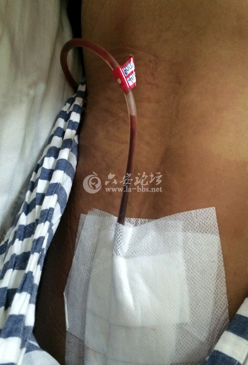 QQ截图20141026092632.png