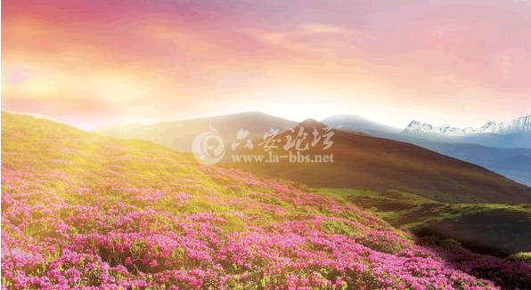 QQ截图20141026110752.png