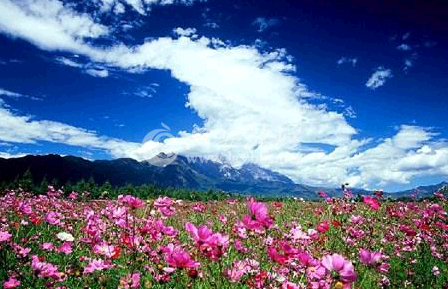 QQ截图20141026110838.png QQ截图20141026110838.png