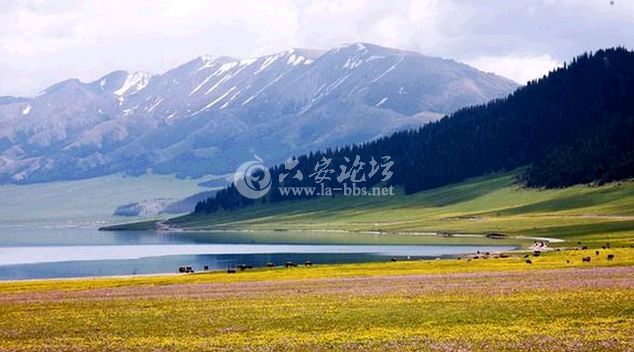 QQ截图20141026110915.png QQ截图20141026110915.png