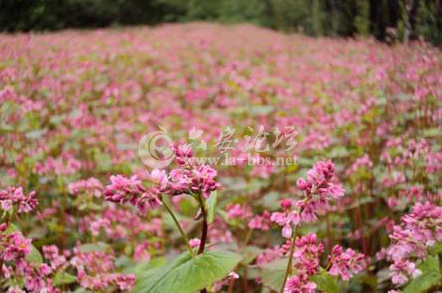 QQ截图20141026111006.png QQ截图20141026111006.png