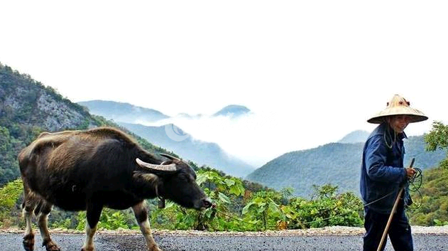 QQ截图20141027110741.png QQ截图20141027110741.png
