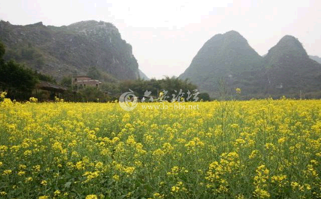 QQ截图20141027110903.png QQ截图20141027110903.png