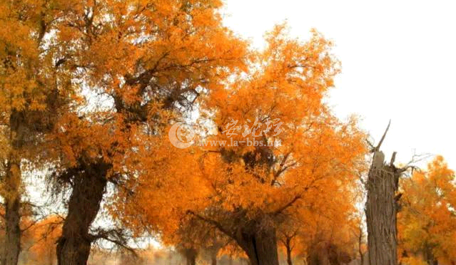 QQ截图20141030114956.png QQ截图20141030114956.png