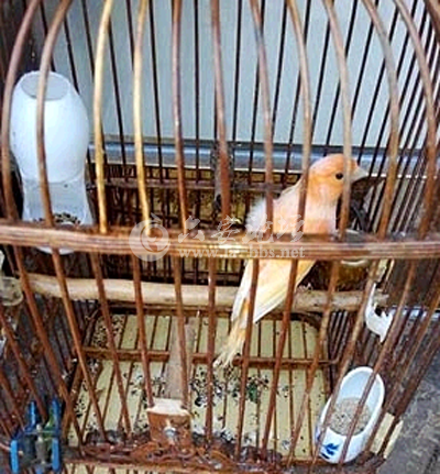 QQ截图20141102133826.png