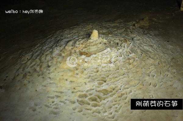 图片12.jpg