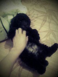 没到3个月的时候