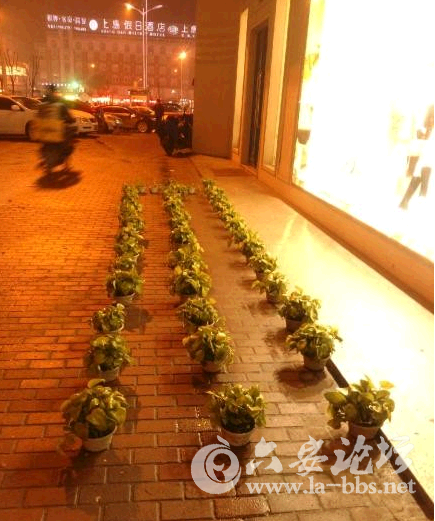 QQ截图20141116082845.png
