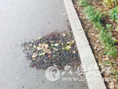 QQ截图20141123105114.png