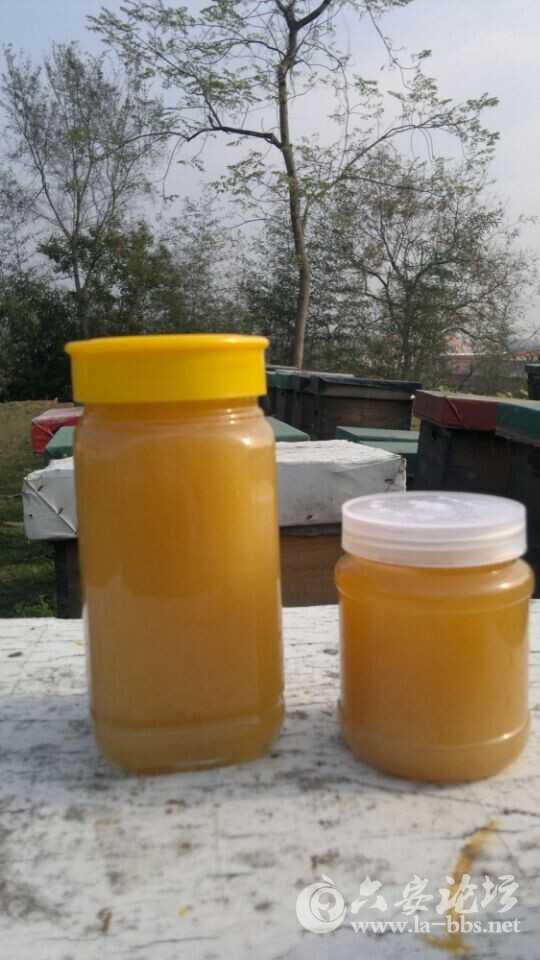优质纯蜂蜜