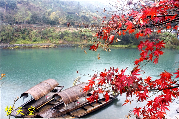 渔村风光 (1).jpg