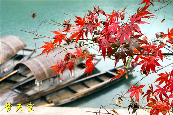 渔村风光 (2).jpg