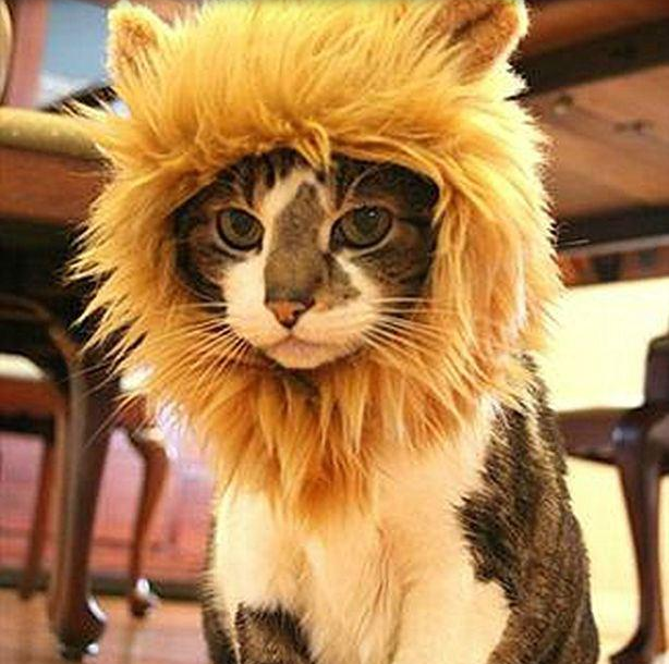 QQ截图20141223100732.png QQ截图20141223100732.png