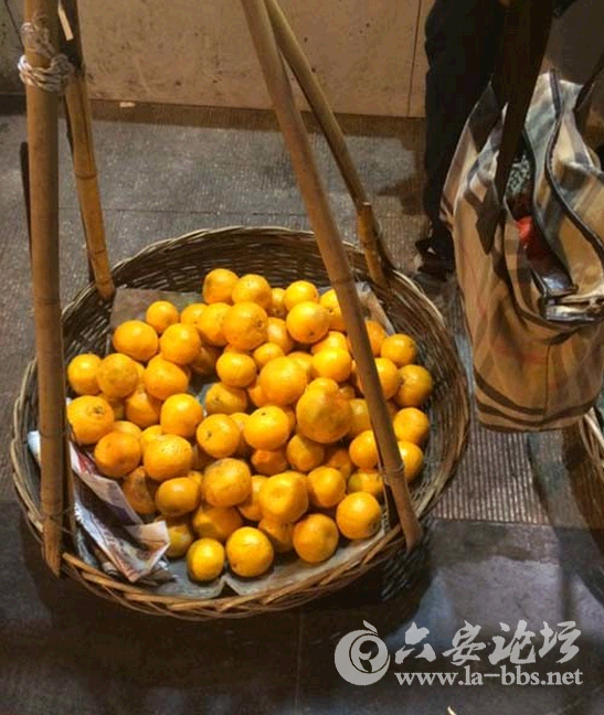 QQ截图20141215141924.png