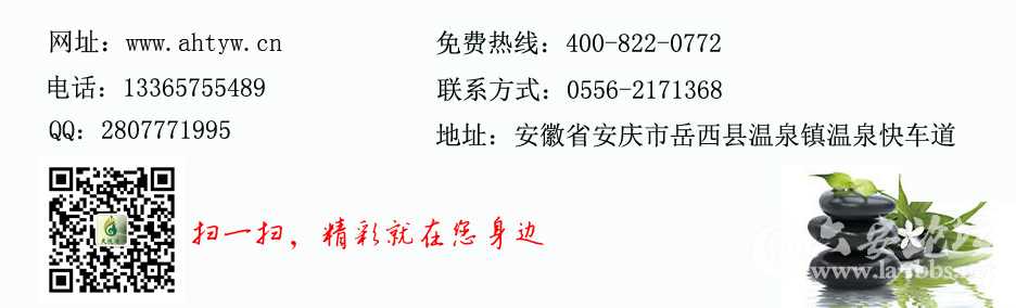 网站联系方式.jpg