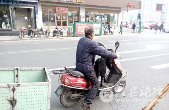 QQ截图20150107123511.png