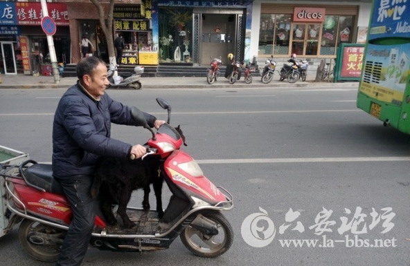 QQ截图20150107123523.png