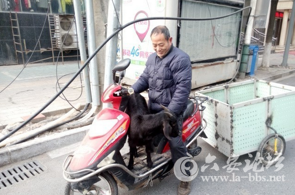 QQ截图20150107123532.png