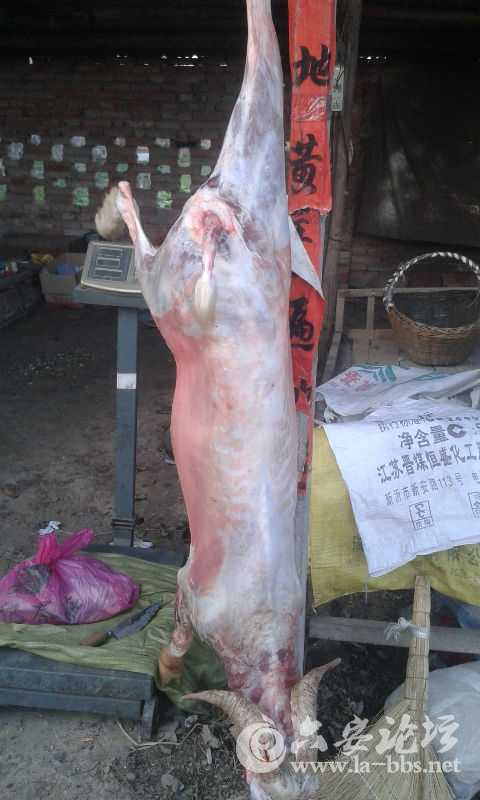 20141221_163019.jpg