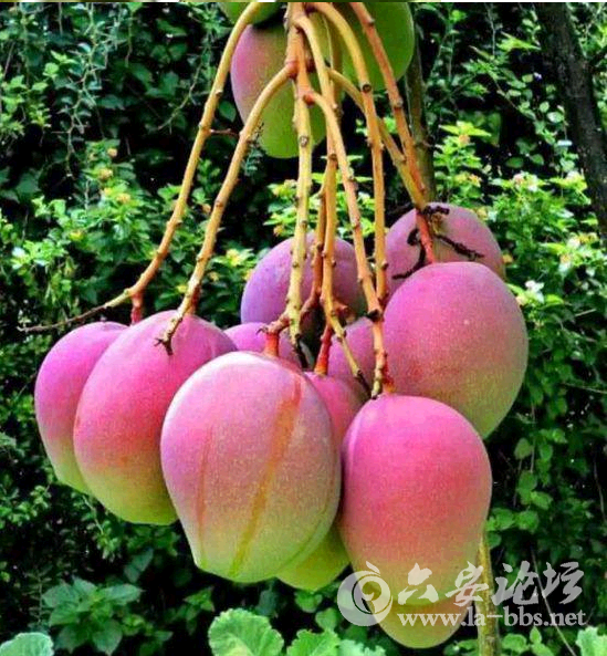 QQ截图20141230151843.png