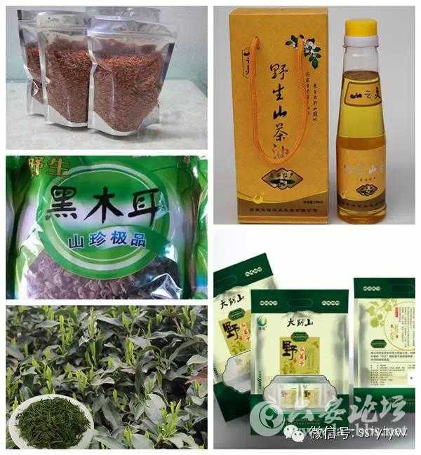 山珍.jpg 山珍.jpg