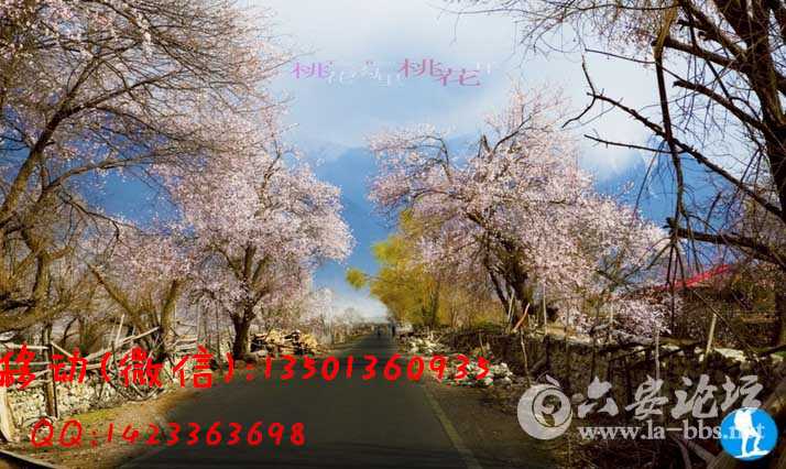 9VID_2{J_UQX0AK(~1DA@DR_副本.jpg