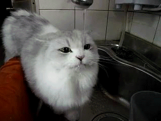 QQ截图20150118144013.png QQ截图20150118144013.png