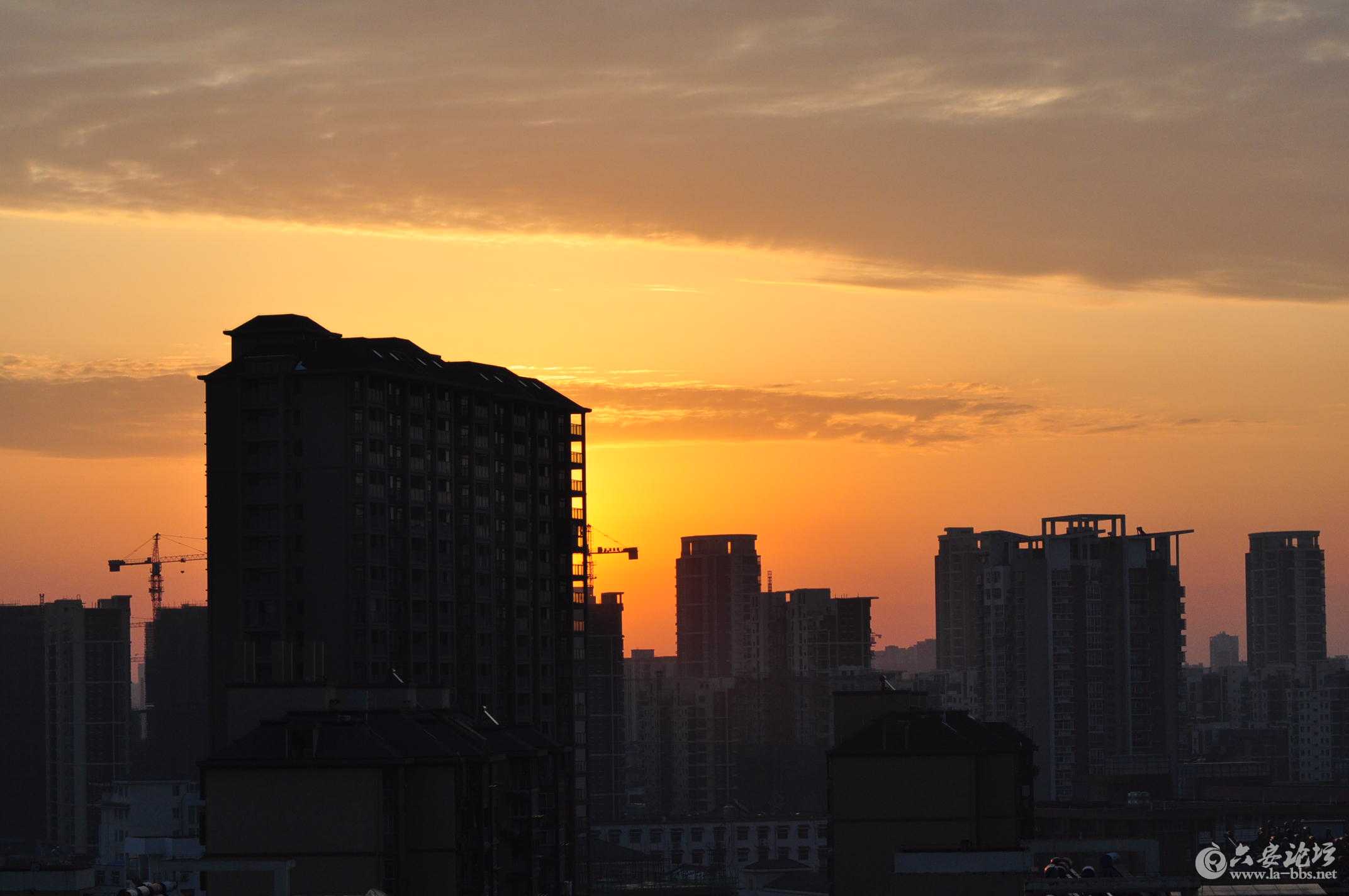 2015第一场雪 103.jpg