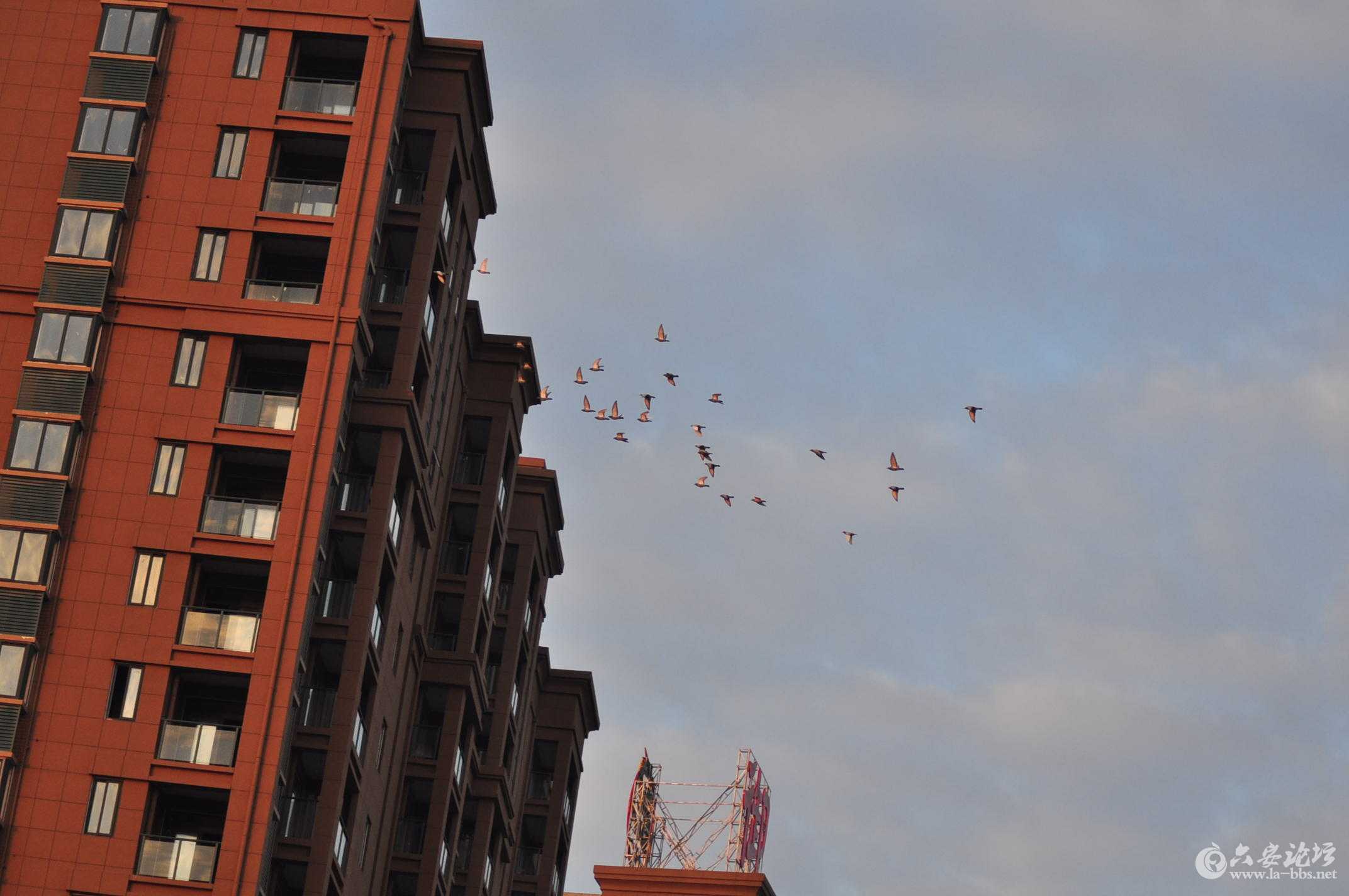 2015第一场雪 114.jpg