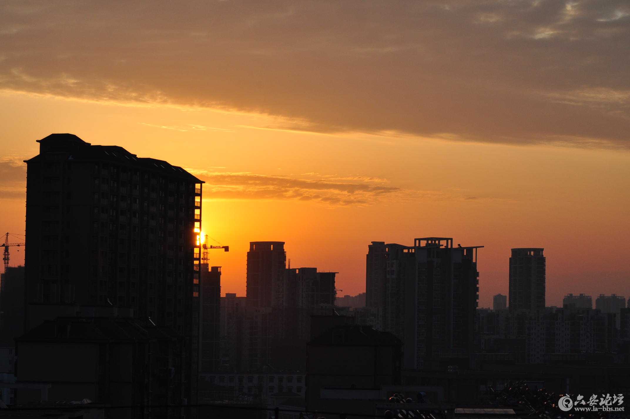 2015第一场雪 107.jpg