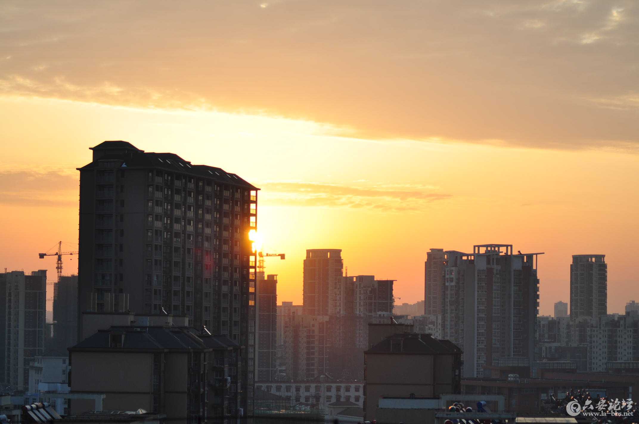 2015第一场雪 109.jpg