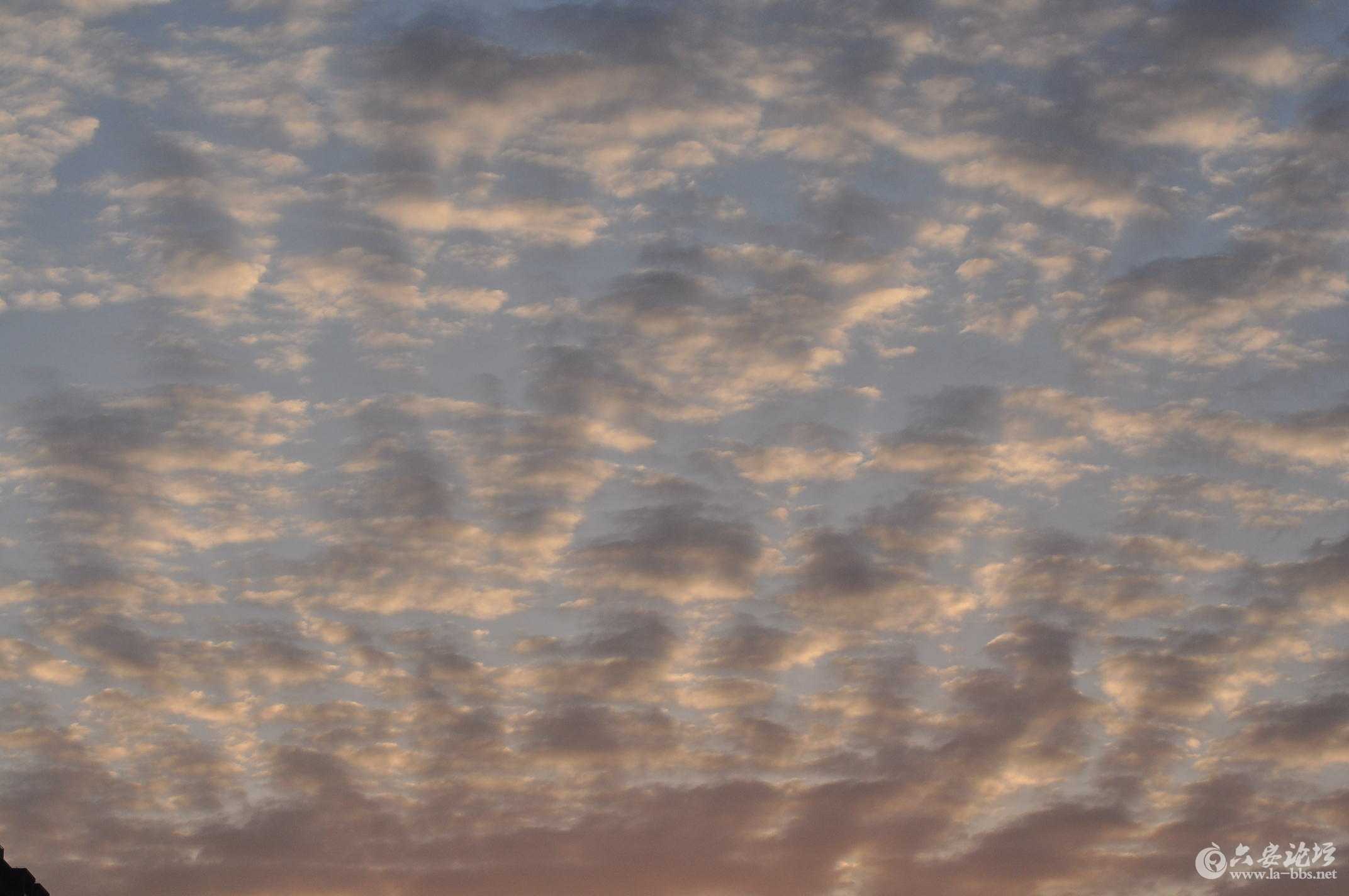 2015第一场雪 108.jpg