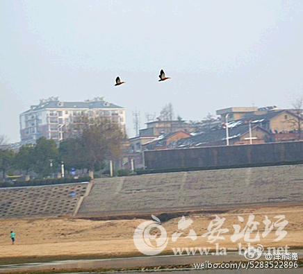 QQ截图20150128085241.png
