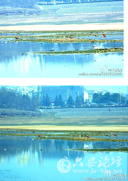 QQ截图20150128085234.png