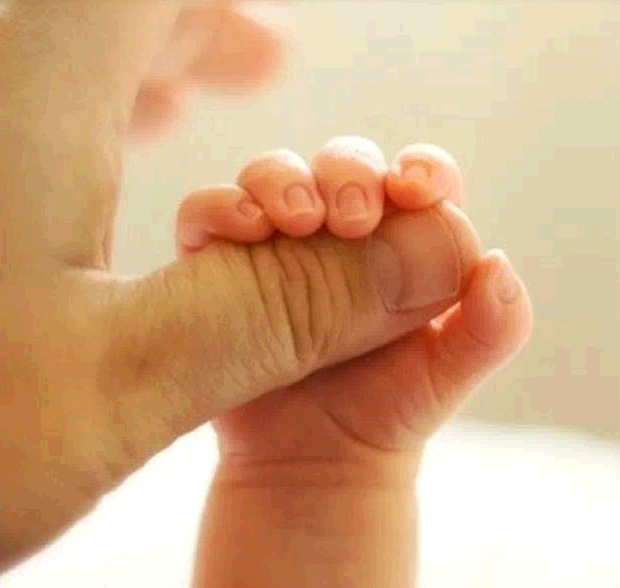 QQ截图20150203145945.png QQ截图20150203145945.png