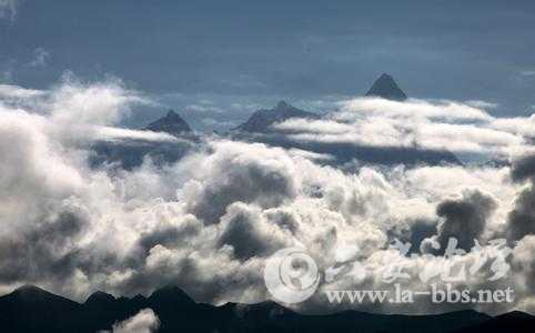 u=3973167521,1536497061&amp;fm=23&amp;gp=0.jpg