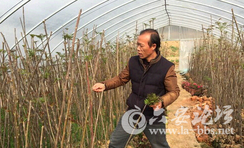 QQ截图20150222084245.png