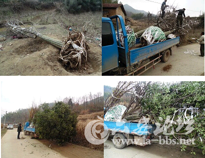 QQ截图20150301095614.png QQ截图20150301095614.png