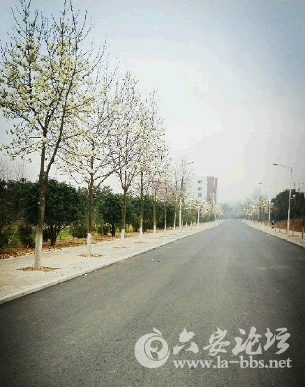 QQ截图20150306091309.png