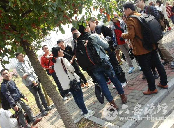 QQ截图20150321143505.png