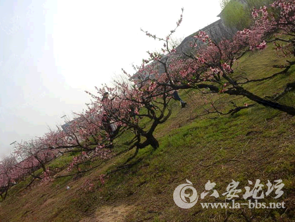 QQ截图20150321143537.png