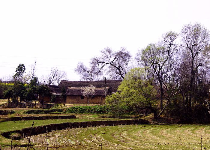 这里的春天别样的美，