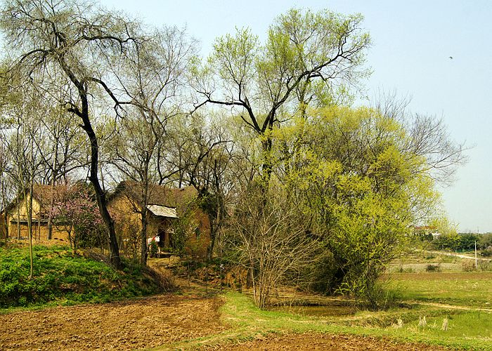 这里的春天别样的美，